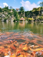 BThanh
