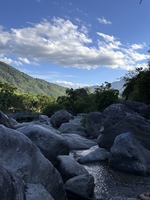 Như