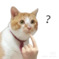 Dung