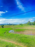 Nguyễn Trung