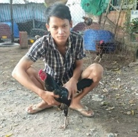 Gà's Đá's Lấu 's