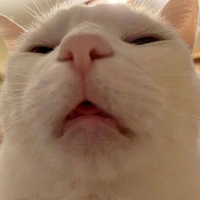 Lương Khánh Thiện