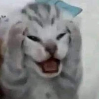 Lê