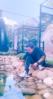 Phan Thông