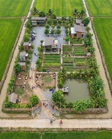 quang thịnh