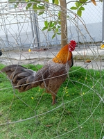 Bình đẳng 