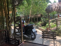 Lộc Bùi Doãn