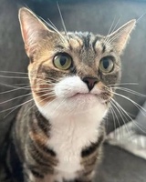 Vivian