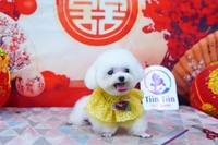 Cún Yêu