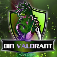 Valorant Bin
