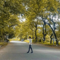 An Nguyễn