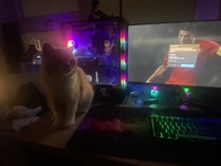 Lê Ngọc Gia Bảo