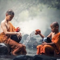 Ngo Son Lam