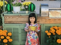 Hoang Long Nguyen