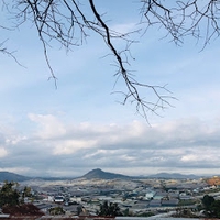 Dương