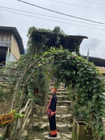 VU TRUONG QUANG
