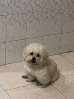 Nguyễn Thanh Trúc