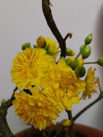 bán đủ loại hàng hóa