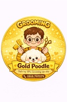 GOLD POODLE nhận spa cắt tỉa lông cún tại nhà khách
