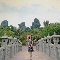 Hong Han Hua