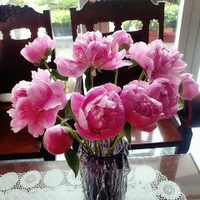 Huyền Như 093 bốn hai bốn 0321