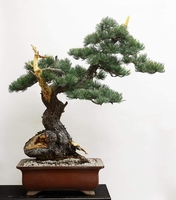 Hoàng Công Tuyển