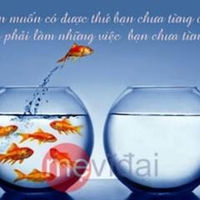 Phạm Nguyễn Chí Cường