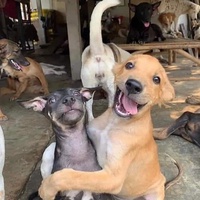 Phú Lộc