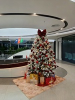 Nguyễn Phúc Zương