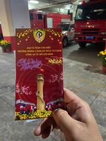 vương nguyễn