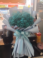 phạm Ngọc Thạch 