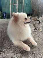 Vũ Hải