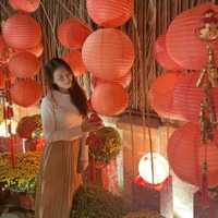 mô hình lắp ráp vyhouse