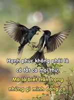 why do not