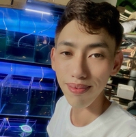 phước sang