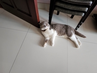 Nguyễn Đức Thắng