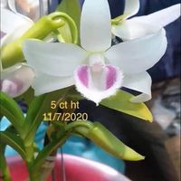 LỘC PHÁT NHẬN KÝ GỞI NHÀ  ĐẤT