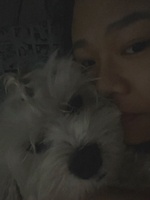 Trinh 