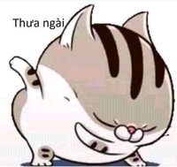 thua