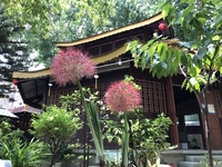 Bảo Quốc
