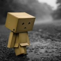 31 Võ minh thiên phúc-lớp 6/8