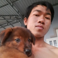 Quốc Tùng