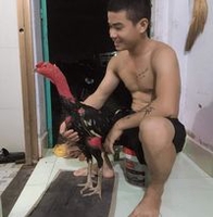Giahuy Anh