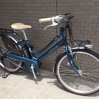 Xe Đạp Nhật Nội Địa