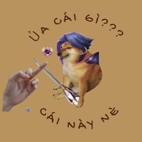 Trần Văn Kim Khoa