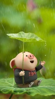 Mr Anh