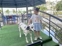 Hải Bằng