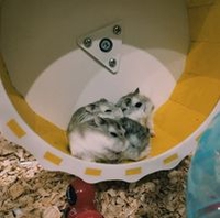 Nguyễn Hưũ Lộc