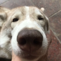 Lê Thanh Minh Nhật 