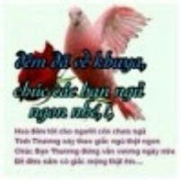 tuan anh le